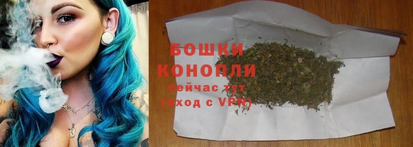 бошки Гусиноозёрск