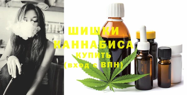бошки Гусиноозёрск