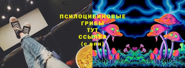 марки lsd Гусь-Хрустальный