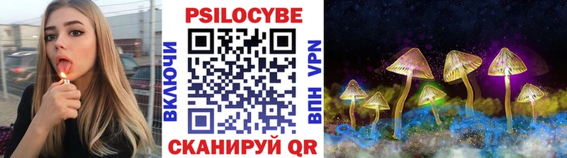 Галлюциногенные грибы Magic Shrooms  Купить  Томмот 